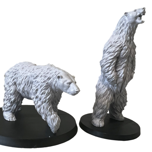 Polar Bears